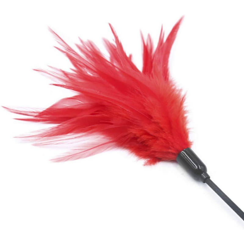 Feather Tickler Riding Crop - Black/Red