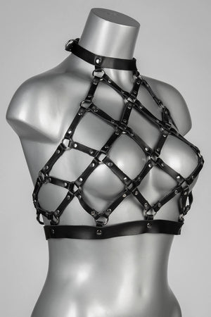 Harness Obedience