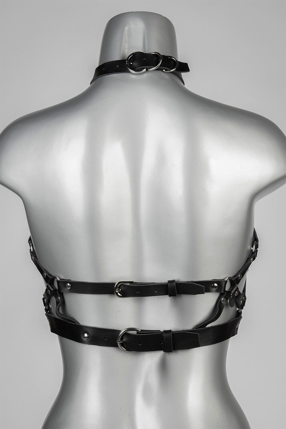 Harness Obedience