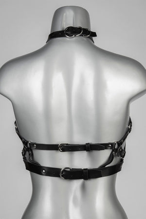 Harness Obedience